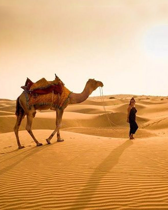 Abu Dhabi Morning Desert Safari