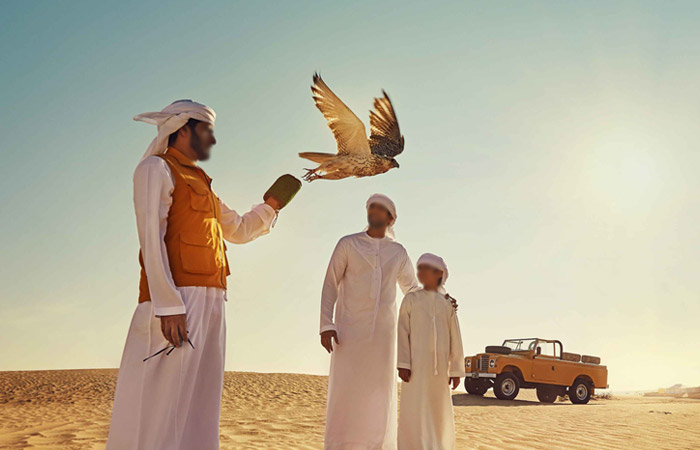 Abu Dhabi Falcon Tour